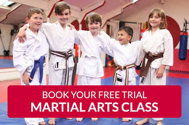 Martial Arts Classes